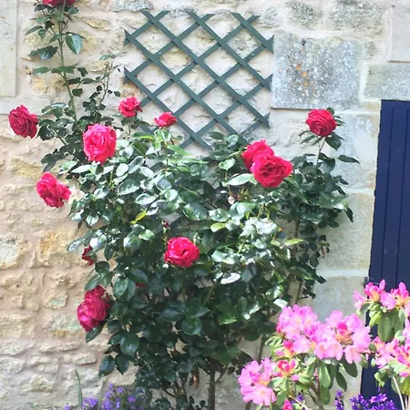 Bed & Breakfast D'hotes La Maline