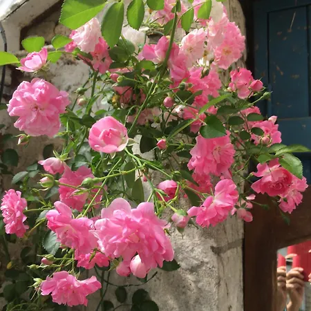 D'hotes La Maline Bed & Breakfast