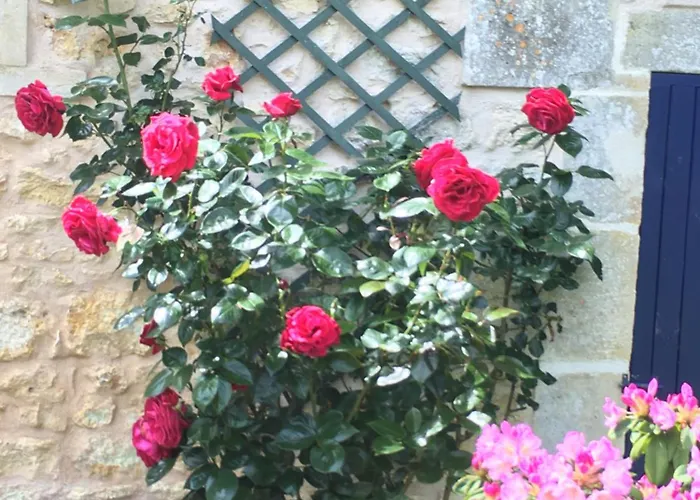 Alojamento de Acomodação e Pequeno-almoço D'hotes La Maline