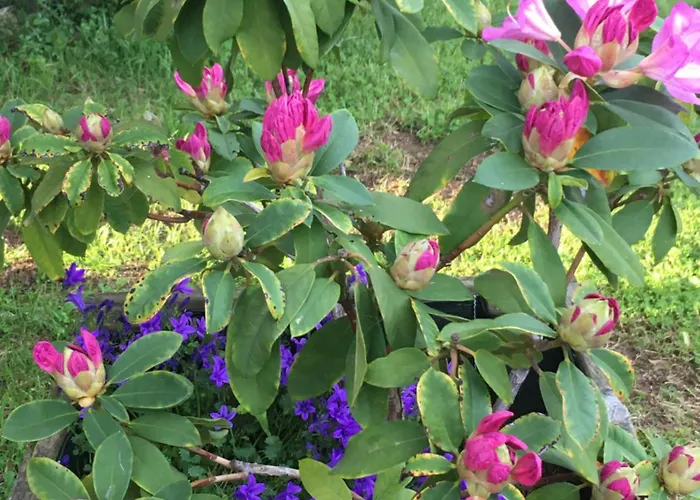 D'hotes La Maline 3*