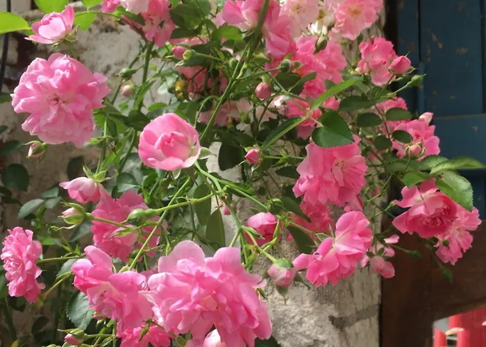 D'hotes La Maline Alojamento de Acomodação e Pequeno-almoço