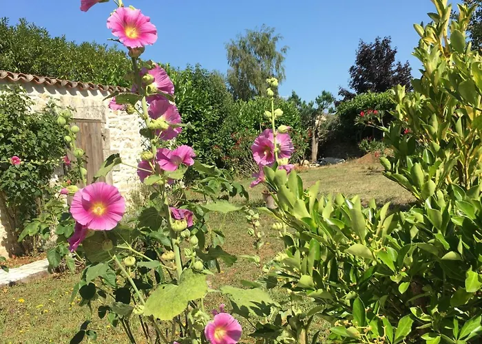 D'hotes La Maline Alojamento de Acomodação e Pequeno-almoço Trizay